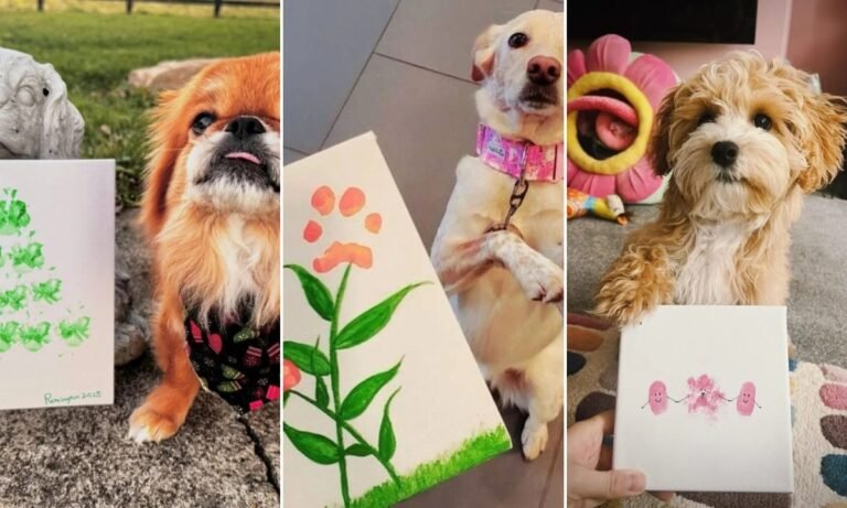 20 Dog Paw Print Craft Ideas For 2026