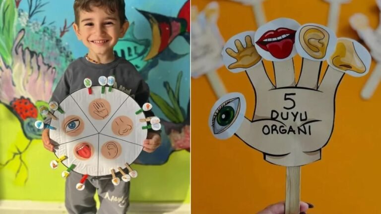 25 Five Senses Crafts Ideas for Toddlers